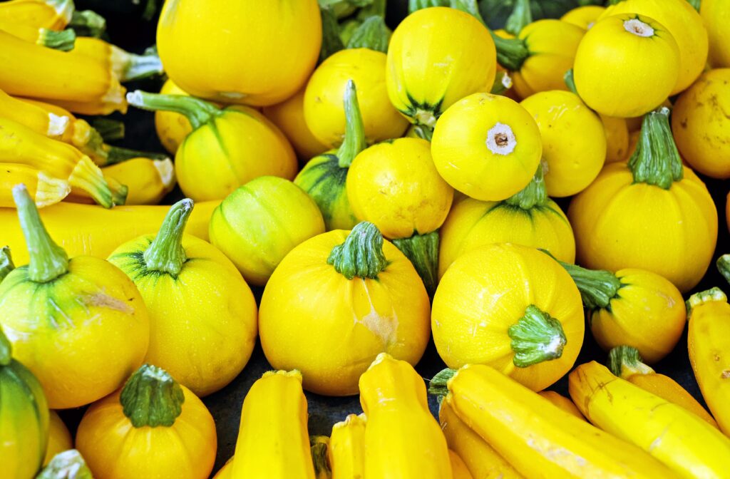 Vibrant Yellow Zucchini Wallpaper: Fresh, Round & Elongated Shapes