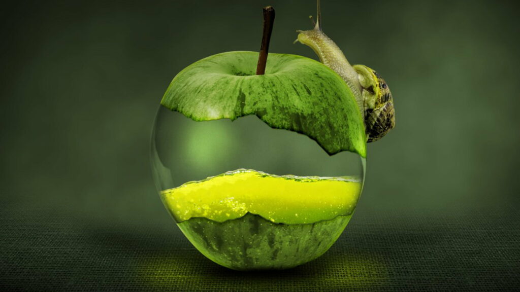 Translucent Splendor: HD Wallpaper of a Green Apple Snail in a Transparent World