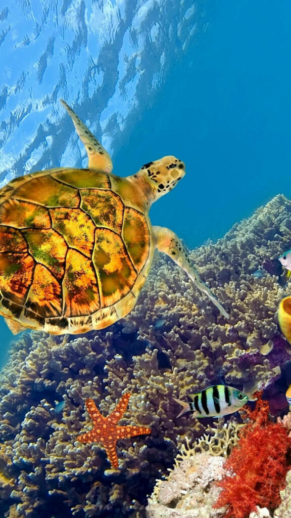 Vibrant Sea Turtle iPhone Wallpaper: Colorful Coral Reef Scene
