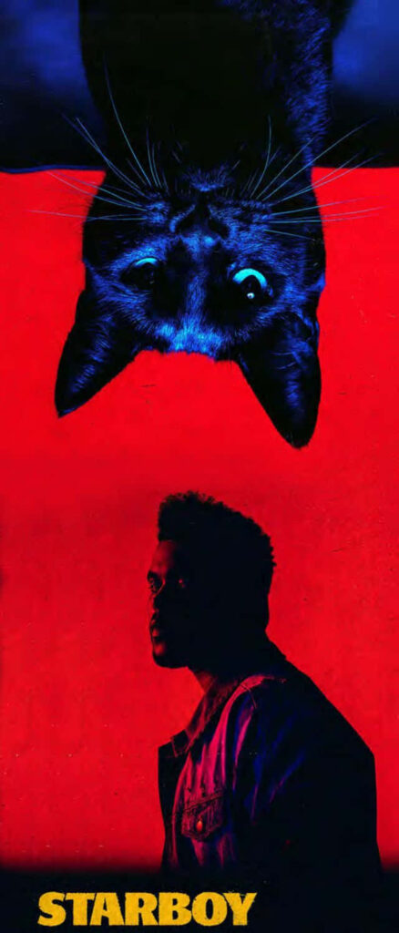 Vibrant Starboy iPhone Wallpaper: The Weeknd & Cat on Bold Red-Blue