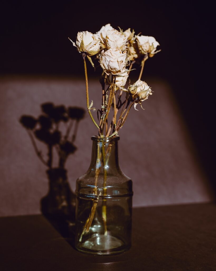 Vintage Dry Roses Wallpaper: Nostalgic Elegance on Dark Background