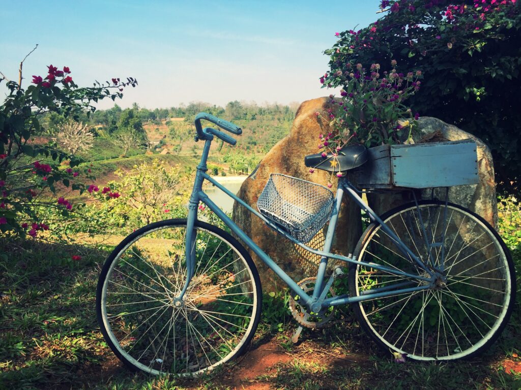 Vintage bicycle with metal basket and wooden box of colorful flowers by countryside rock Wallpaper