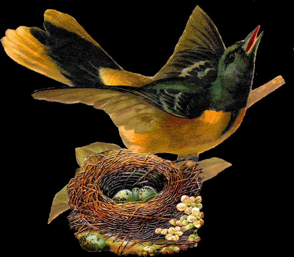 Vintage Bird Wallpaper: Colorful Nest & Speckled Eggs Design