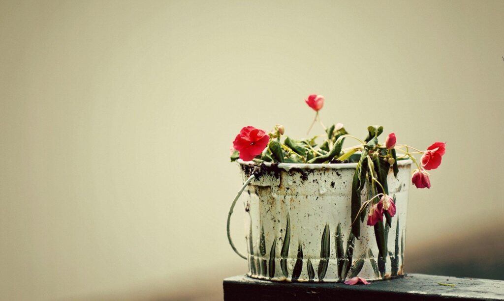 Charming Vintage Bucket Blooms: Rustic Floral Wallpaper Scene