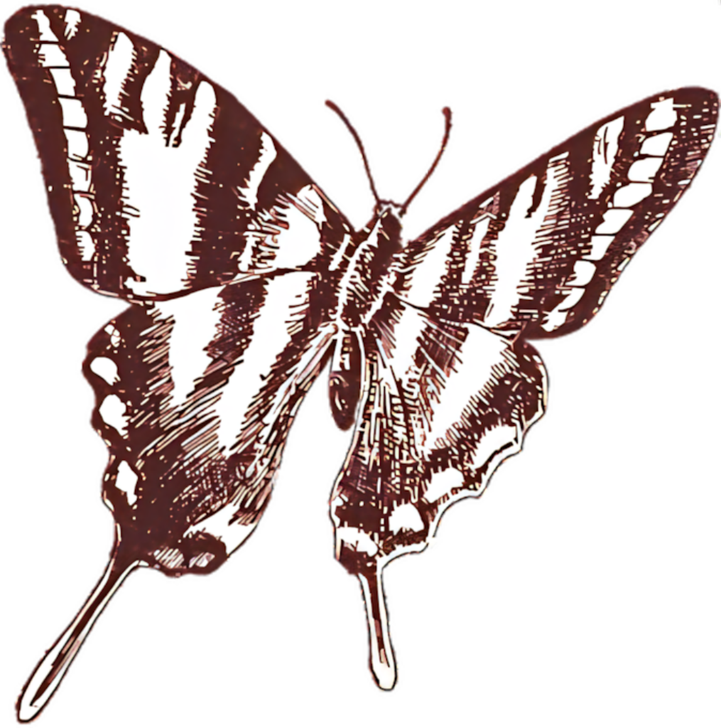 Vintage Butterfly Illustration - Intricate Patterns in Earthy Tones Wallpaper