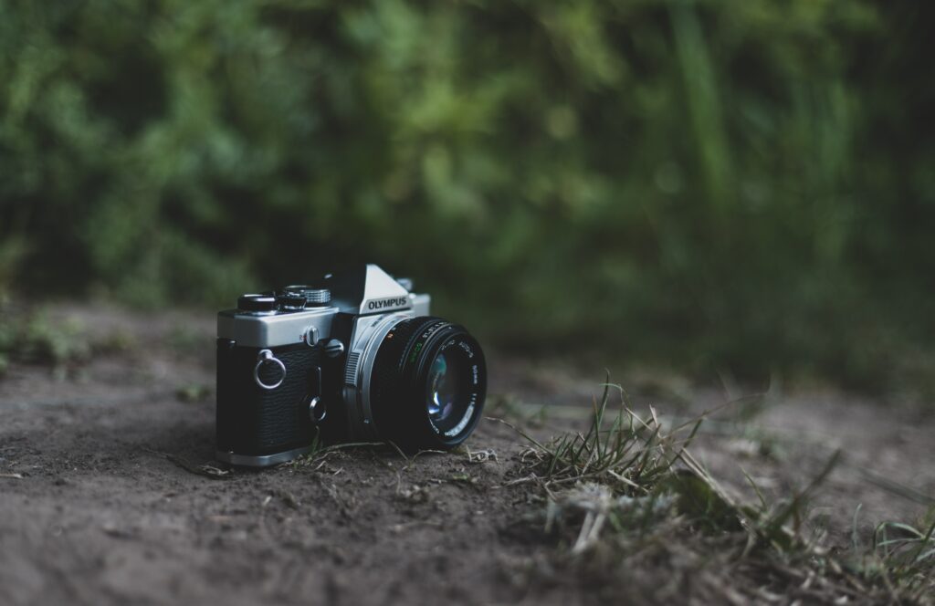 Vintage Camera Wallpaper: Retro Aesthetic with Lush Greenery