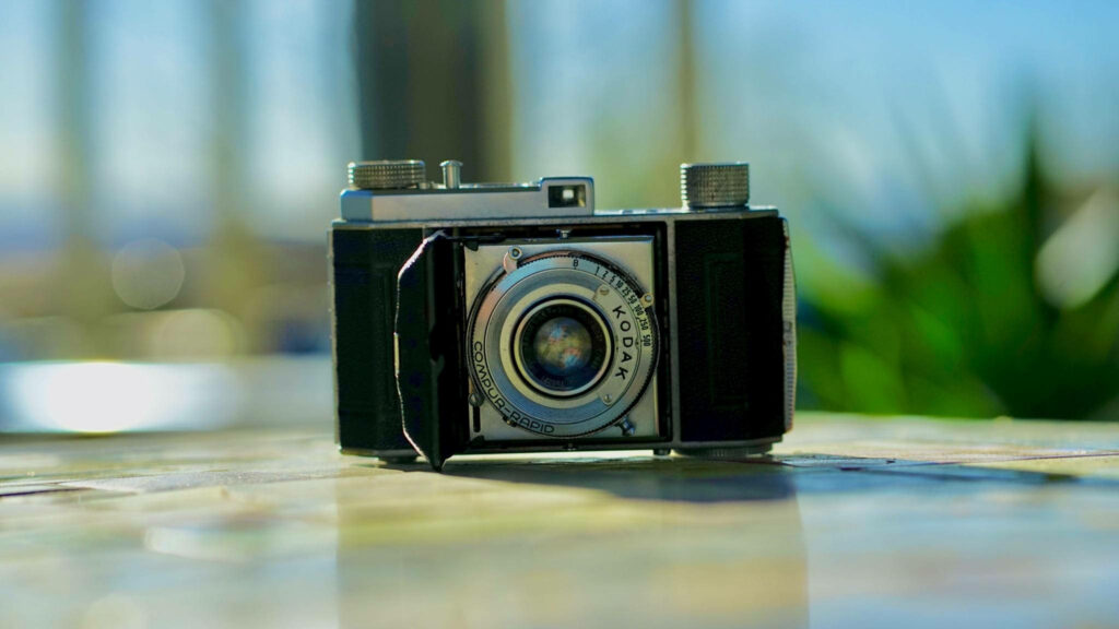 Vintage Kodak Camera amidst Blurred Botanical Scene Wallpaper