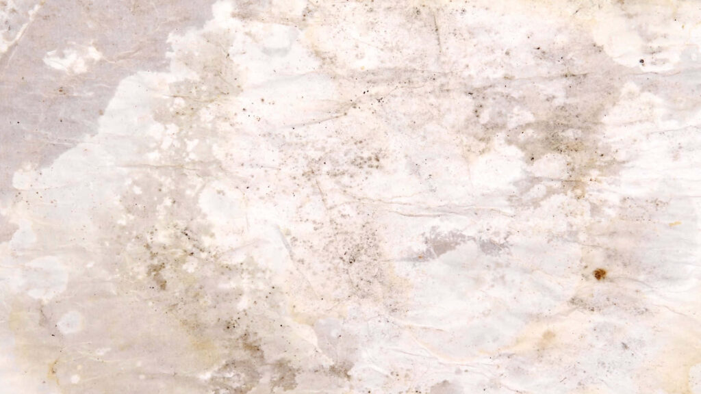 Distressed Elegance: A Vintage Paper Texture Unveils Natural Beauty Wallpaper