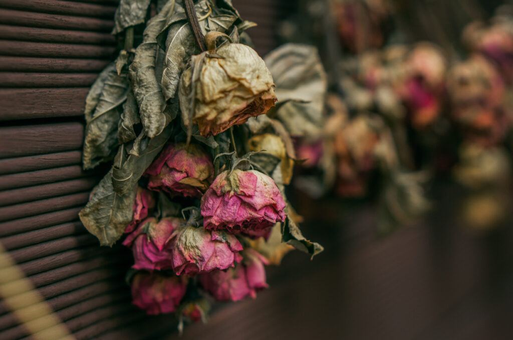 Close-Up of Dried Roses on Dark Background – Vintage Charm Wallpaper