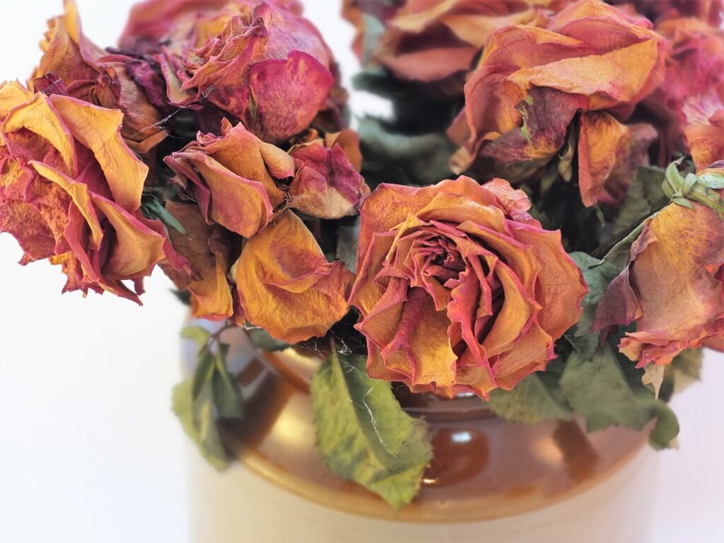 Vintage Charm: Dry Roses in Rustic Vase - Earthy Wallpaper Background
