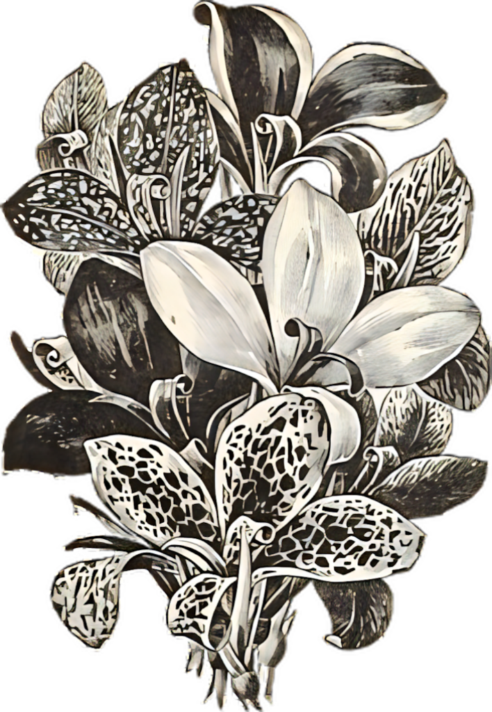 Vintage Floral Grayscale Wallpaper: Timeless Botanical Elegance