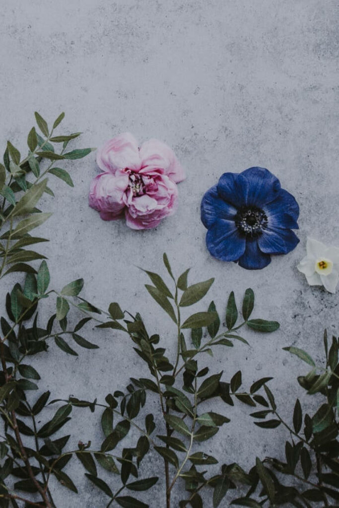 Vintage Floral Flat Lay Wallpaper on Textured Gray Background