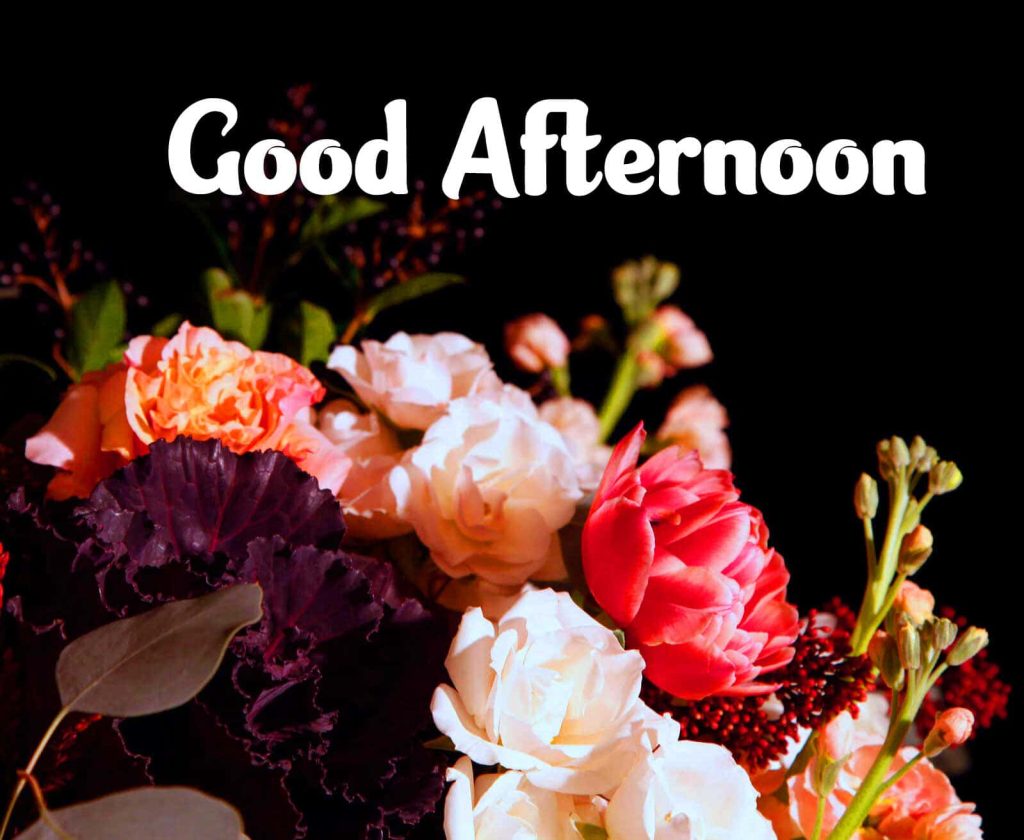 Vintage Good Afternoon wallpaper with vibrant roses on moody black floral background
