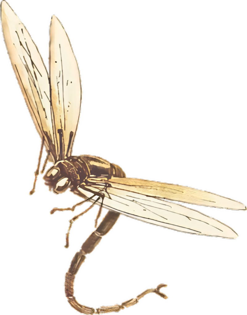 Vintage Insect Wallpaper: Intricate Sepia Illustration for Timeless Decor