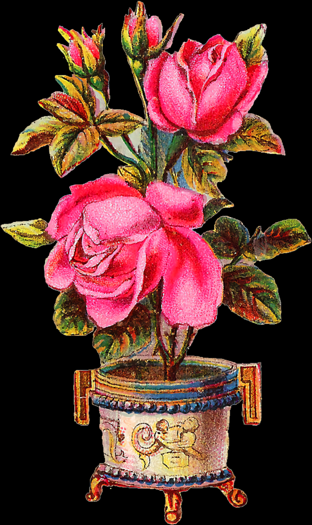 Vintage Pink Roses in Decorative Pot - Elegant Floral Wallpaper