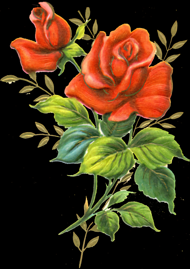 Vintage Red Roses Wallpaper: Timeless Elegance & Romantic Charm