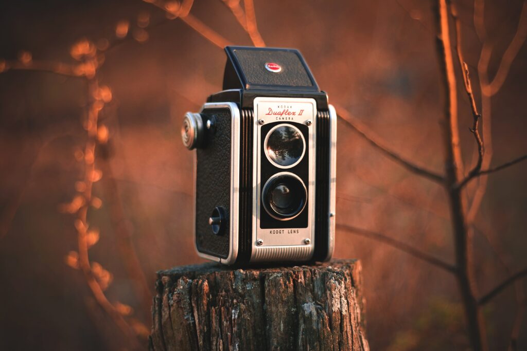 Vintage Camera on Tree Stump - Rustic Vintage Wallpaper Background