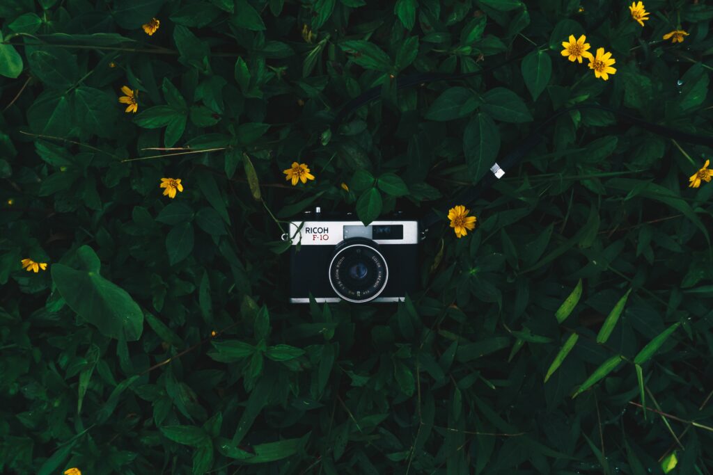 Vintage Ricoh F10 Camera Surrounded by Green Leaves & Yellow Flowers Wallpaper