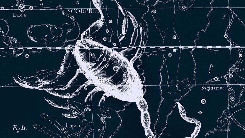 Vintage Scorpio constellation blueprint with detailed scorpion on navy celestial chart background Wallpaper