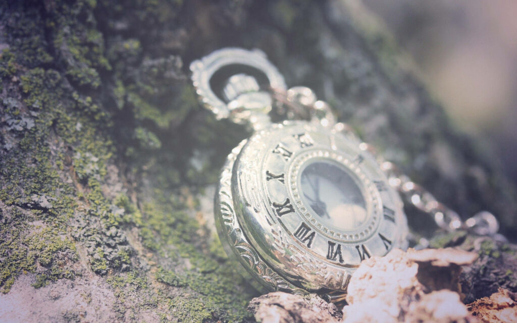 Vintage silver locket watch with Roman numerals on mossy tree bark nature clock wallpaper