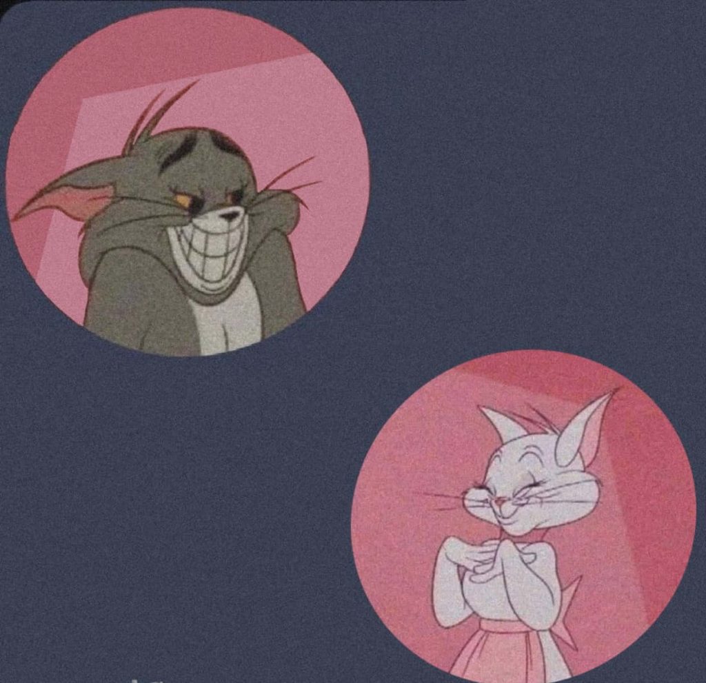 Vintage Tom Cat and Toodles Galore matching profile pictures with pink nostalgic frames Wallpaper