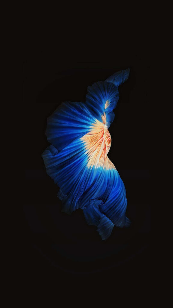 Vivid Blue & Orange Abstract Wallpaper for iPhone 5s