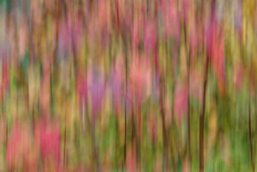 Colorful Ripple Effect Abstract Wallpaper – Vivid Blurred Background