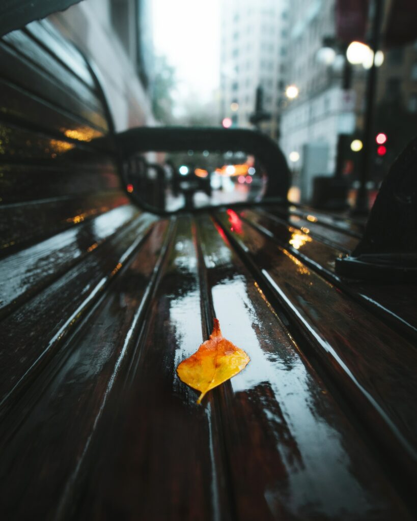 Vivid Autumn Leaf on Rainy Bench: City Charm Wallpaper Background