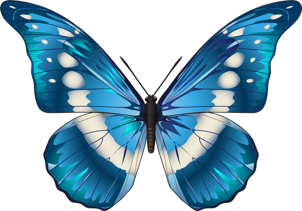 Vivid Blue Butterfly Wallpaper: Intricate Patterns & Natural Beauty
