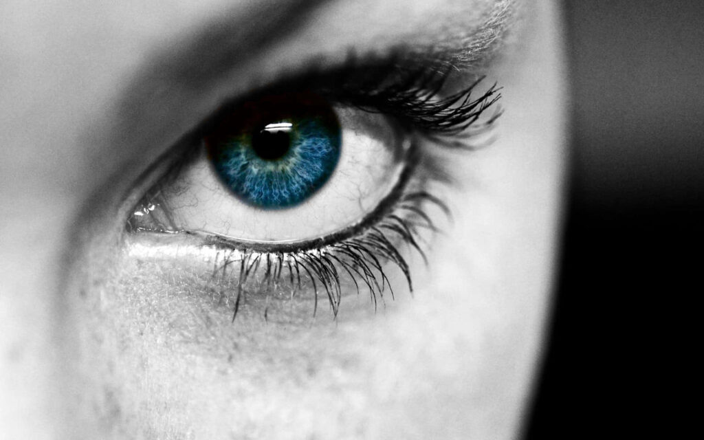 Closeup of vivid blue eye with detailed lashes and iris on soft grayscale background wallpaper