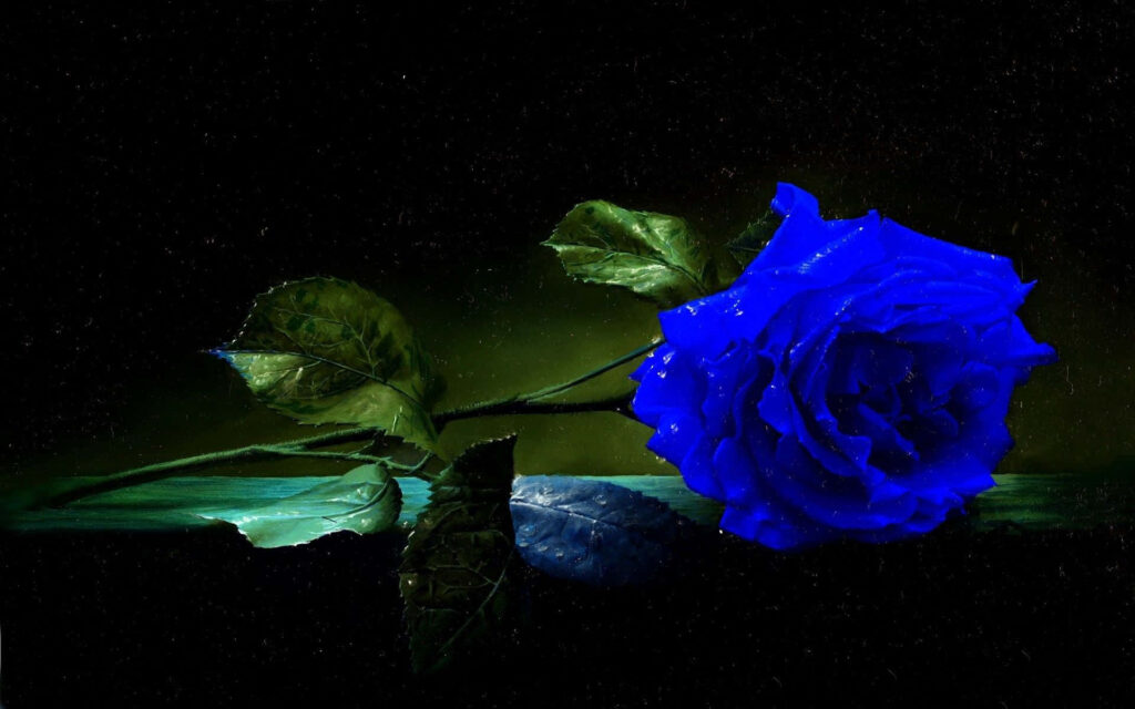 Vivid Blue Rose Wallpaper: Striking Floral Art on Dark Background