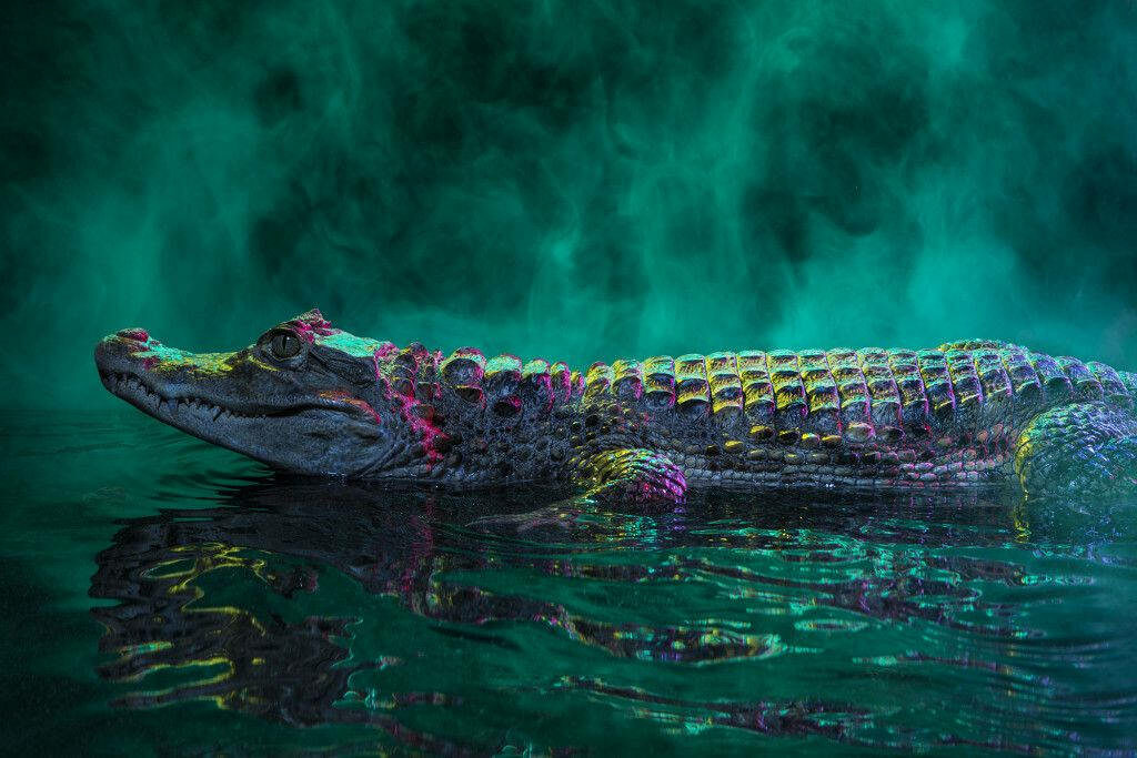 Vivid Caiman Wallpaper: Lush Greens & Purples in Smoky Backdrop