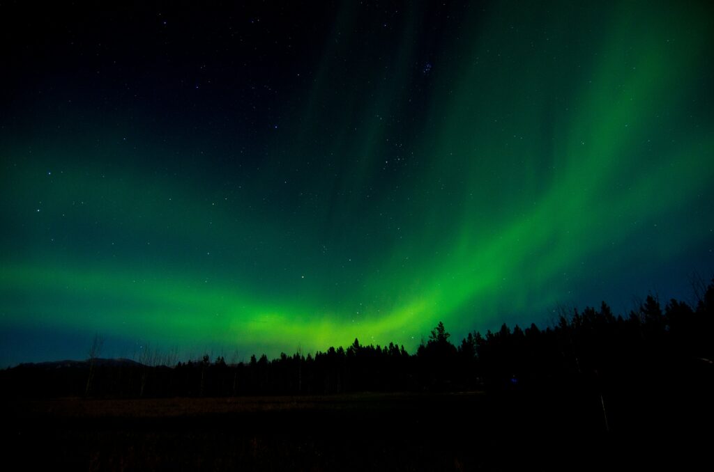 Vivid green northern lights over silhouetted trees in starry night sky glowing naturally Wallpaper