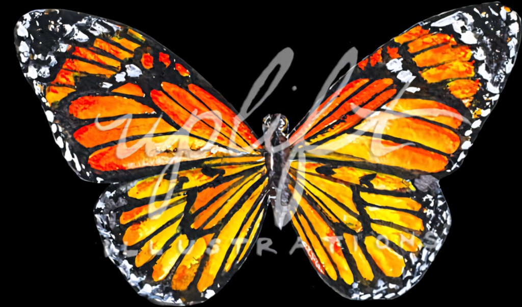 Vivid Monarch Butterfly Wallpaper: Stunning Orange and Black Design