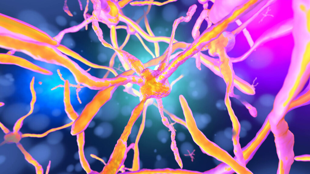 Vivid Neuron Wallpaper: Glowing Neural Connections on Colorful Background