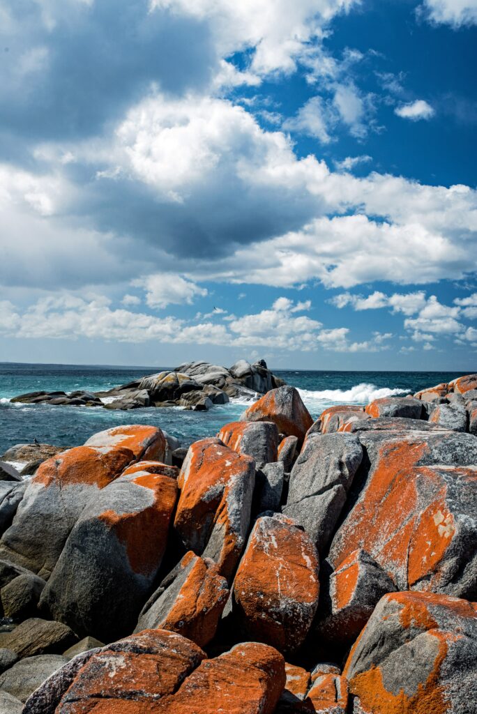 Vivid orange lichen-covered stones on Binalong Bay rugged shore with deep blue sea and sky Wallpaper