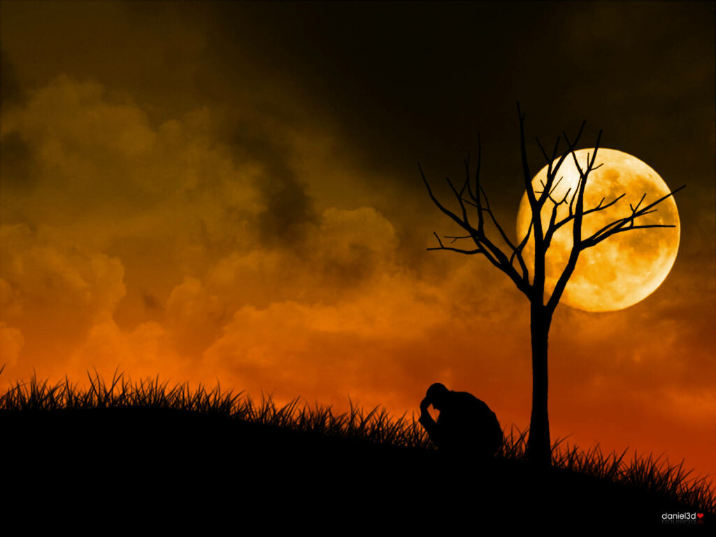 Emotional Silhouette Wallpaper: Man Under Tree & Orange Sky