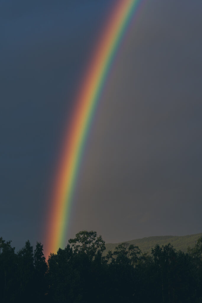 Vivid rainbow over lush green trees under moody sky nature harmony after rainfall wallpaper