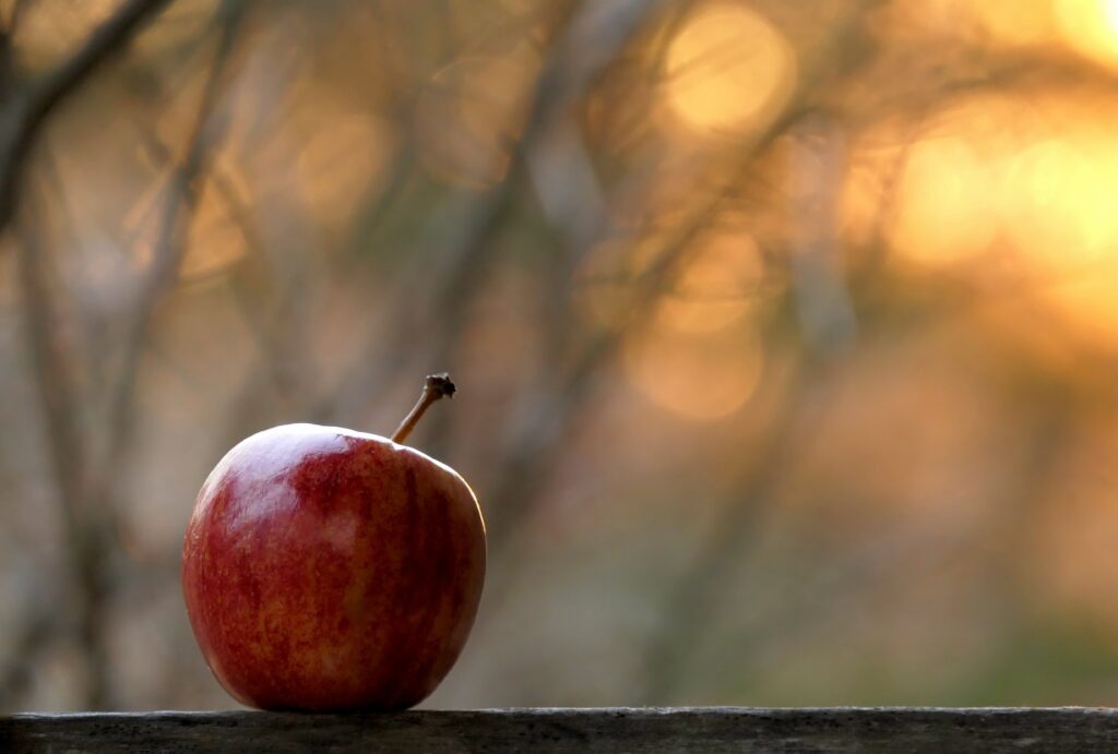 Fresh Red Apple in Focus - Inviting Wallpaper Background