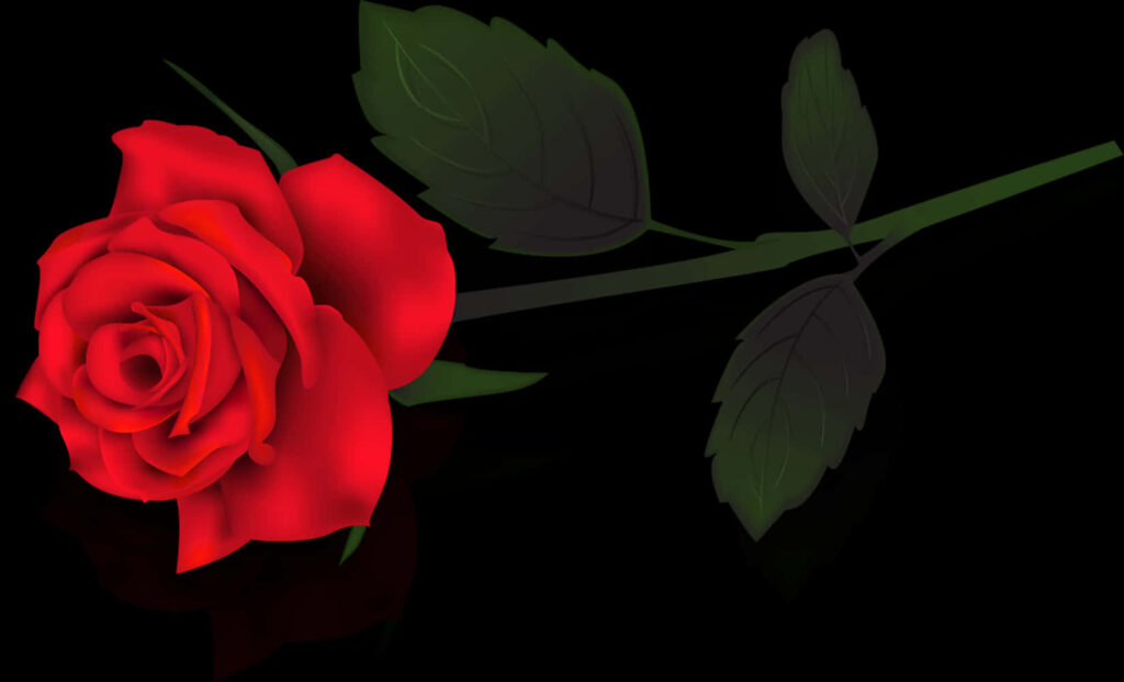 Vivid Red Rose Wallpaper Against Black Background with Green Leaves