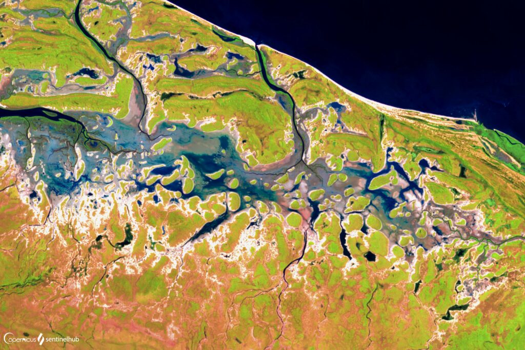 Aerial satellite view of winding rivers lush green vegetation and intricate terrain patterns wallpaper