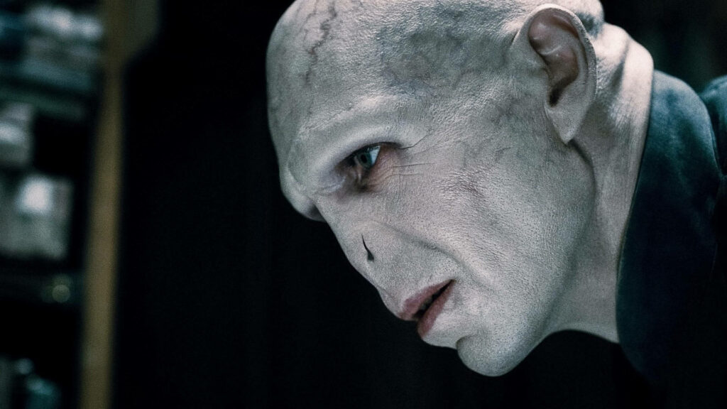 Captivating Close-up: Voldemort's Side Profile in a Cool Harry Potter Background Wallpaper
