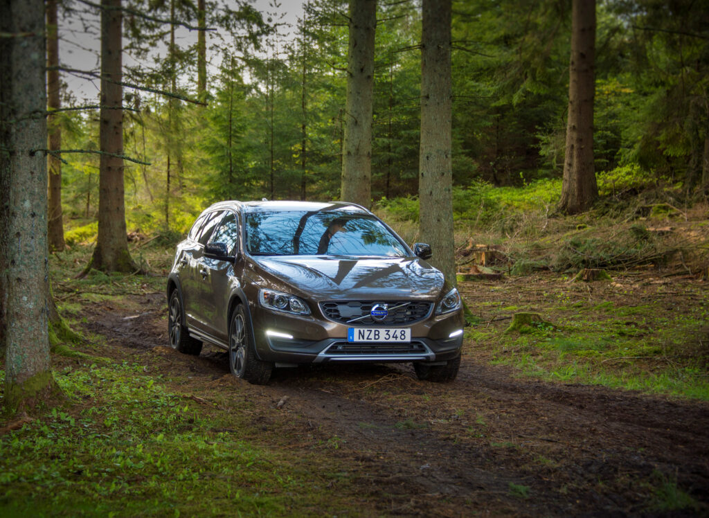 Volvo V60 in Serene Forest: Nature Meets Modern Design Wallpaper