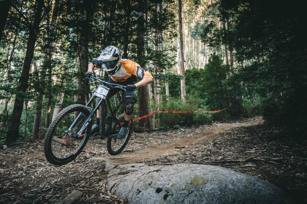 Forest Cycling Adventure: A Majestic 4K Wallpaper Invitation