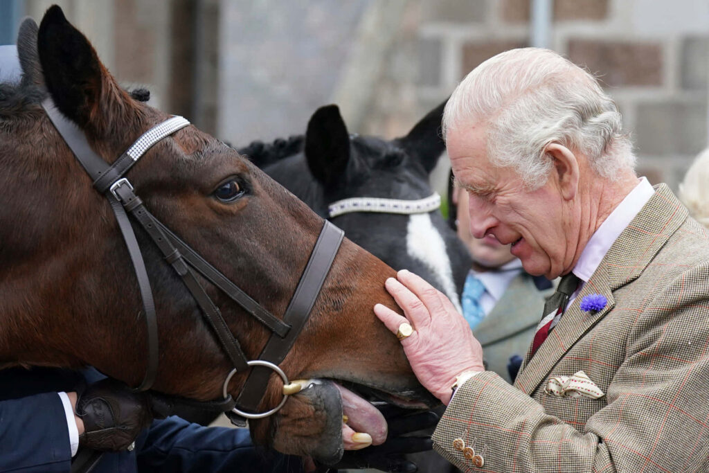 Warm Connection: Man and Horse Embrace in Serene Wallpaper
