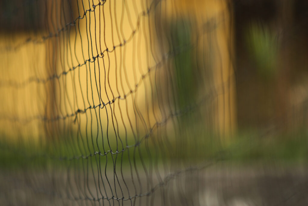 Soft Yellow & Green Mesh Wire Fence Wallpaper Background