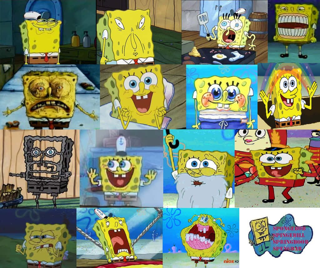 Colorful SpongeBob SquarePants collage wallpaper with iconic weird funny distorted meme faces