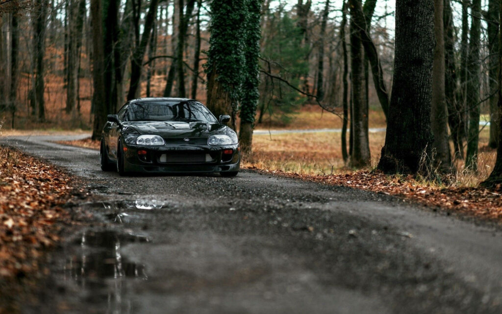 Autumn Vibes: Captivating 4k JDM Toyota Supra Cruising Through Rainy Woodland Wallpaper
