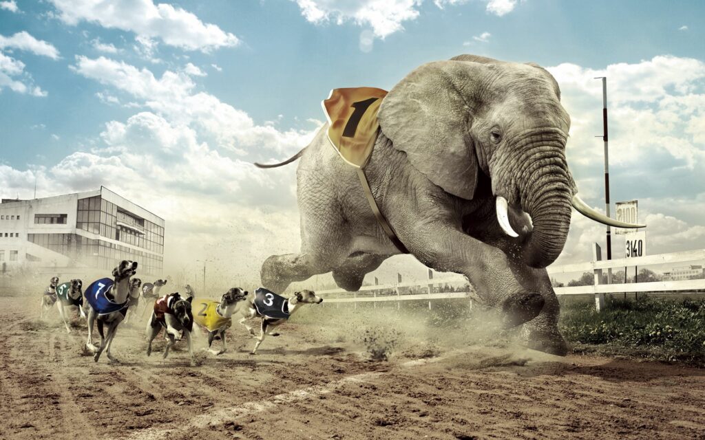 Whimsical 1920x1200 Wallpaper: Elephant vs. Dogs in Vibrant Race