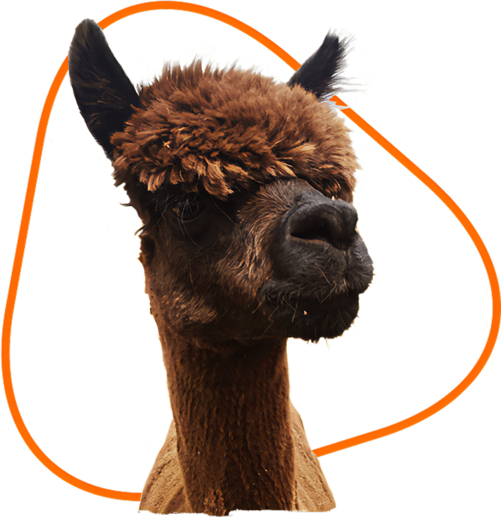 Whimsical Alpaca Portrait with Orange Halo on Transparent Background Wallpaper
